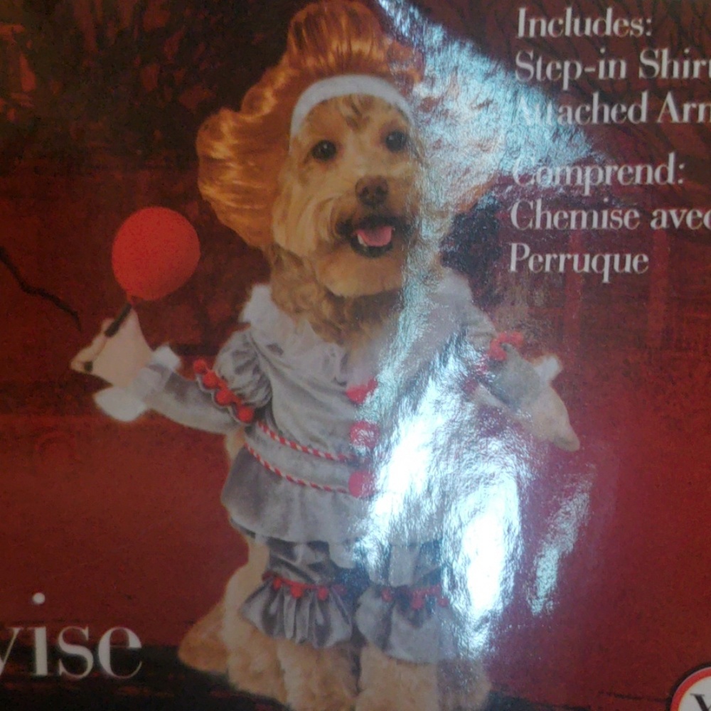 It pet costume (xL)
